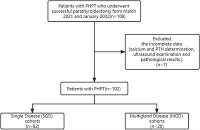 Prediction of multiglandular parathyroid disease in primary hyperparathyroidism using ultrasound and clinical features